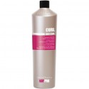 1000 ml